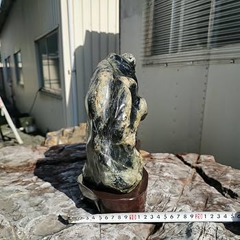 ⭕️高級鑑賞石蛇石⭕️超開運家の守り神蛇石　2.8キロ Amazon.co.jp: 特大蛇石13.5キロ 庭石鑑賞石石盆石水石灯籠庭坪